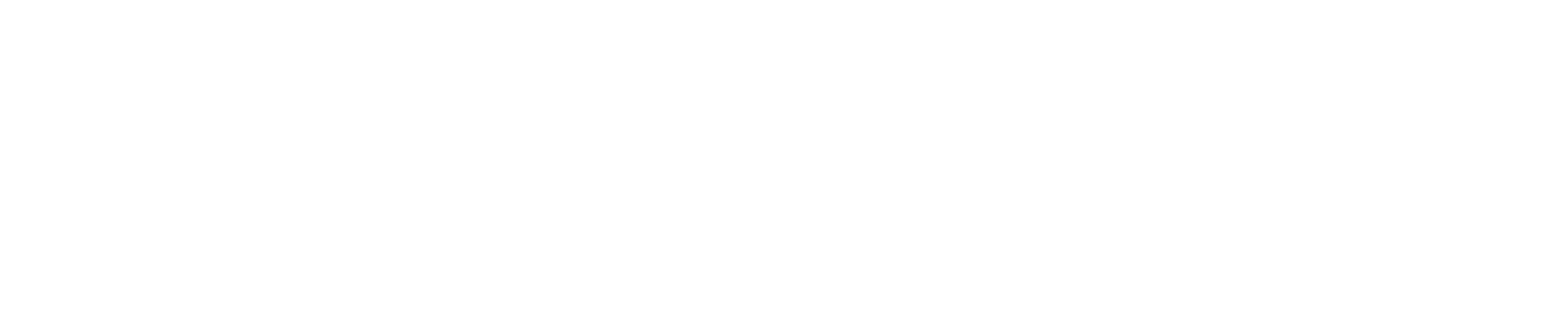 logo light
